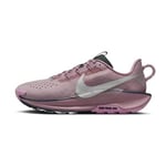 Nike Pegasus Trail 5, storlek 40½