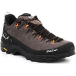 Chaussures Salewa  Alp Trainer 2 Gore-Tex® Men's Shoe 61400-7953