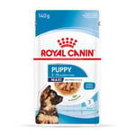 Royal Canin Maxi Puppy i sås - 10 x 140 g