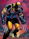 X-Men Wolverine Berserker Rage 60 x 80 cm sur Toile, Multicolore