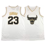 QJV Jordan Adulte Basketball Jersey, 23 Platinum Edition Basketball Uniformes Bulls Retro sans Waseding Game Jersey (S-XXL) M