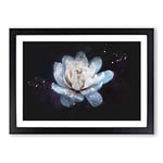 Big Box Art Blue Magnolia Flower Paint Splash Framed Wall Art Picture Print Ready to Hang, Black A2 (62 x 45 cm)