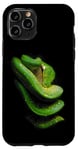 Coque pour iPhone 11 Pro Gardien de reptiles serpent python arbre vert