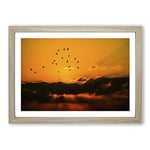 Big Box Art Birds in The Sky Orange Sunset Framed Wall Art Picture Print Ready to Hang, Oak A2 (62 x 45 cm)