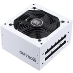 Simpletek RTX Adaptateur de jeu complet modulaire pour ordinateur fixe | blanc, 750 W, 80+ Gold