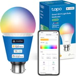 Tapo B22 MATTER Smart Bulb, Energy Monitoring, Advanced Music Sync 1055 lm, 8.6W