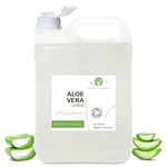 B.O.T cosmetic & wellness - Concentré d'Aloe Vera Bio Frais | 100% Naturel et Pur | Pressé à Froid | Soins et Hydratation de la Peau et Cheveux | Idéal pour Cosmétiques Maison, Taille: 5L