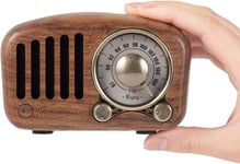 Portable Radios Small, Wood FM Radio Retro Bluetooth Speaker, Transistor Radio R