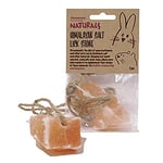 Rosewood Naturals Himalayan Salt Lick Stone, Rabbit Treats & Small Animal Treats, 132g