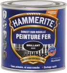 Hammerite Peinture brillante - Boîte 250 ml Noir