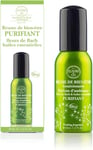 Elixirs & Co - Brume de Bien-être Réconfortante aux Fleurs de Bach & Huiles Essentielles - Purifiant - Les Fleurs de Bach - Bien être - Détente - Bio - 100% Naturell - Made in France - 30ml