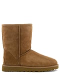 Brun Ugg / 40