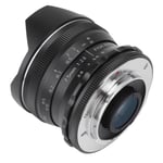 7.5Mm F2.8 Ii Ultra Wide Angle Fisheye Lens For M4/3 Mount Cameras For Olymp MPF