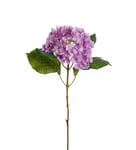 Hortensia Konstväxt Lila 40cm