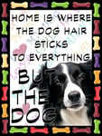 Shawprint Border Collie Dog Fridge Magnet 100mm x 75mm HOME IS WHERE THE DOG HAIR STICKS TO EVERYTHING BUT THE DOG Novelty Gift