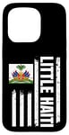 Coque pour iPhone 15 Pro Little Haiti America Drapeau américain haïtien patrimoine haïtien