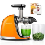 AMZCHEF Juicer Machines - Cold Press Slow Juicer - Masticating Juicer for Whole Fruits and Vegetables - Delicate Chew No Need to Filter - No BPA Juice Maker with 2 Cups and Brush - Vitality Orange