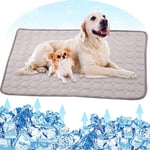Jorisa Pet Cooling Mat,Dog Cat Summer Cooling Pad Cushion Ice Silk Self Cooling Blanket Sleeping Bed Mat Heat Relief Mattress for Pet Dog Cat Puppy(XL:100x70cm,Gray)
