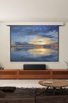 60" Manual Wall/Ceiling Mounted Projector Screen