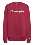 Champion Crewneck Sweatshirt Burgundy