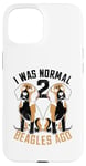 Coque pour iPhone 15 J'étais normal il y a 2 Beagles Dog