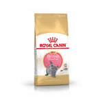 Royal Canin Breed British Shorthair Kitten t&oslash;rrf&ocirc;r til kattunge (2 kg)