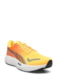 PUMA Velocity Nitro 3 Fade Gul