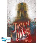 Friday The 13Th  Plakat  Jason Lives