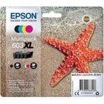 Epson Etoile de mer 603XL 4 couleurs