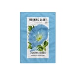 3dRose Morning Glory Heavenly Blue Prouts Seeds Portage La Prairie Towel, Multi-Colour, 15 x 22-Inch