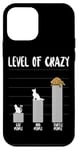 iPhone 12 mini Sea Turtle Tortoise Level Of Crazy Cat People Dog People Case