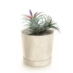 Botle Pot De Fleur Rond Creme En Plastique Beton Effect Cache Pot 32,6 Cm Decoratif Bac A Plantes Avec Soucoupe Fleurs