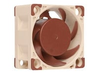 Noctua NF-A4x20 FLX - Ventilateur châssis - 40 mm