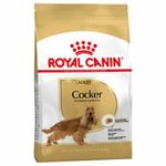 Royal Canin Cocker Spaniel Adult Dry Dog Food 12kg