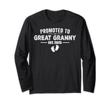 Promoted To Great Granny 2025 Funny For New Great Granny Long Sleeve T-Shirt