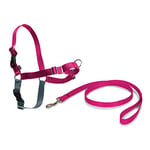 PetSafe Easy Walk Harness, No-Pull Walking Harness for Dogs, Adjustable Fit, Includes 1.8m Lead, Large-Raspberry