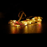 50 LED 2.5m Premier MicroBrights Indoor Outdoor Christmas Multi Function Battery Operated Lights with Timer on Pin Wire in Red & Vintage Gold