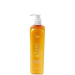 Shampoo hiuksille hilsettä vastaan Angel Marine Depth SPA Shampoo Hilse hiuksille 250 ml