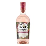 EDINBURGH RHUBARB & GINGER GIN 70CL FRUIT FLAVOURED SCOTTISH GIN SPIRITS