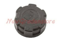 Bouchon Carburant pour Moteur Wbe 701 - 702 - 704 Ggp Alpina 118550339/1 231015