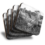 Set of 4 Square Coasters - BW - Wild Chickens Animal Farm Birds  #37827