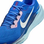 Nike Pegasus 41 CM Herre