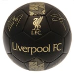 Liverpool FC Gold Signature Ball Size 5 (PH) - Official Merchandise NEW UK