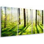 Tableau triptyque Tableau photo sous bois de jacinthes - 90x60 cm