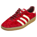 adidas Bermuda Mens Fashion Trainers in Burgundy White - 11 UK