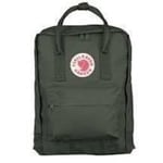 FJALLRAVEN Kanken F23510-660 Ryggsäck Grön Grön