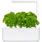 Klikk og Grow Smart Garden 3, Startsett, Hvit