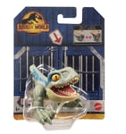 Jurassic World Uncaged Wild Pop Ups Velociraptor Blue Dinosaur Toy New