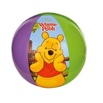 Intex - 58025NP - Jeu de Plein Air - Ballon Winnie