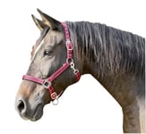 Kerbl Mustang Head Collar - Red/Black, Size 1